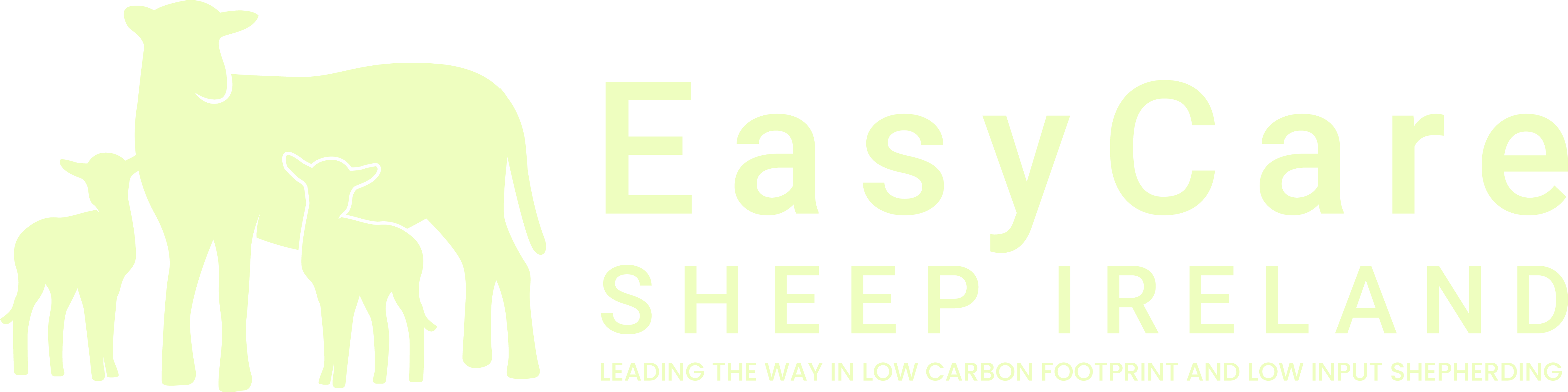 EasyCare Sheep Ireland